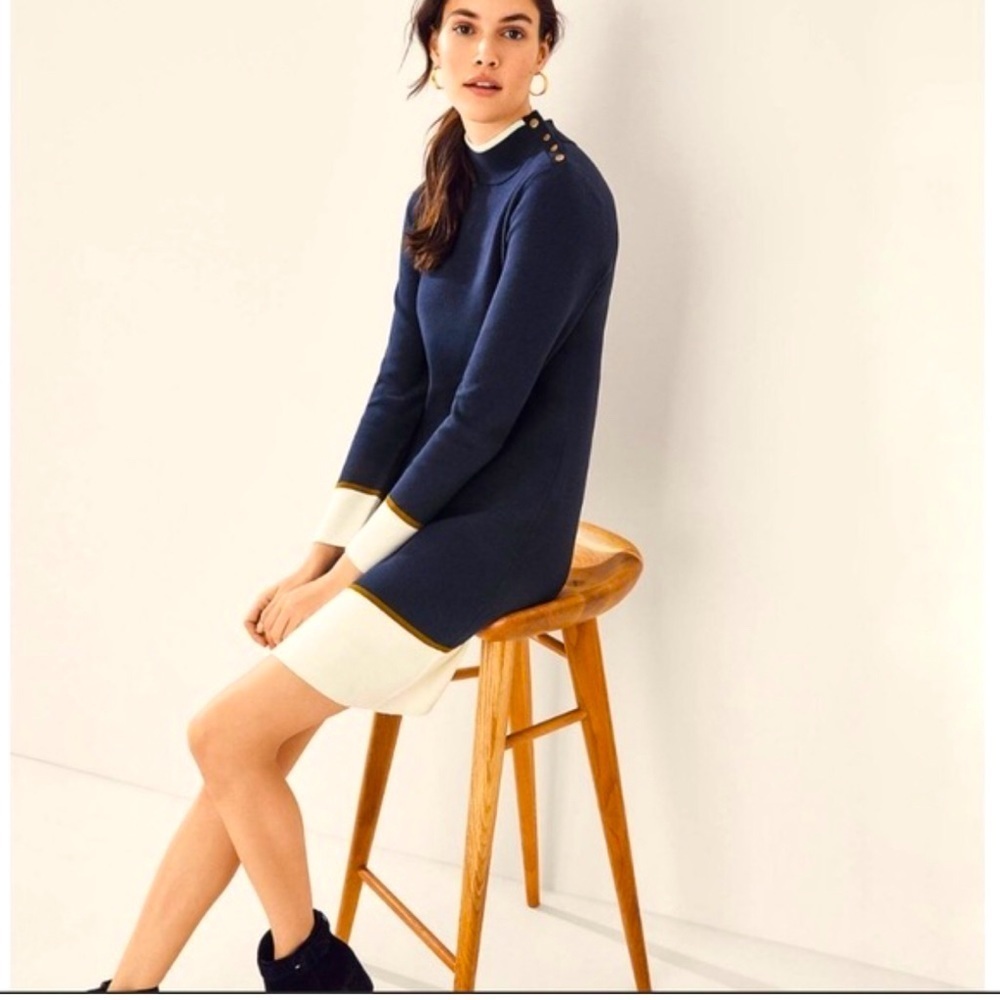 Ann Taylor Navy and White Color Block Mock Neck Sweater Dress Size XS EUC